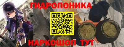 дмт Кунгур
