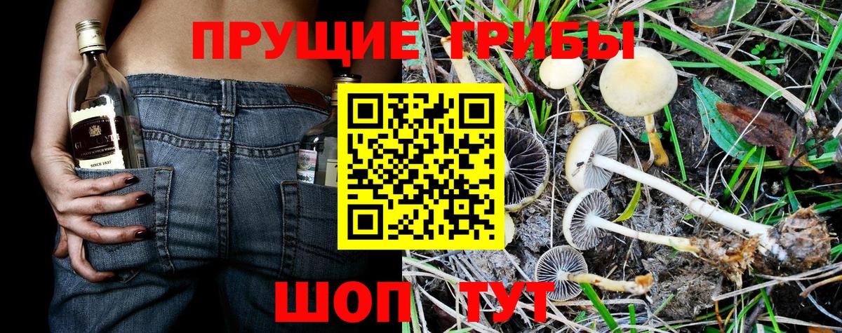 Галлюциногенные грибы мухоморы Ярославль