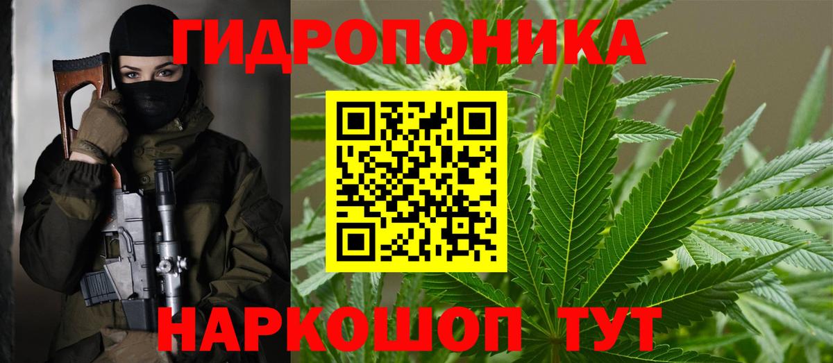 Бошки марихуана конопля Ярославль